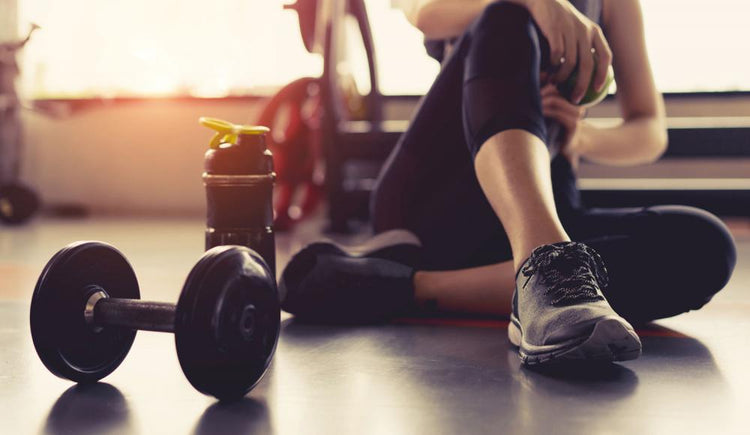 Fitness Equipment & Accessories - Bellanica