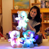 Luminous Plush Teddy Bear Night Light