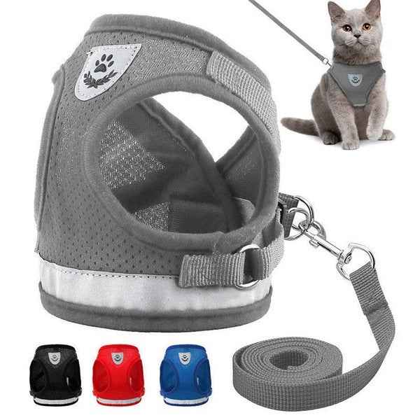Breathable Mesh Pet Leash