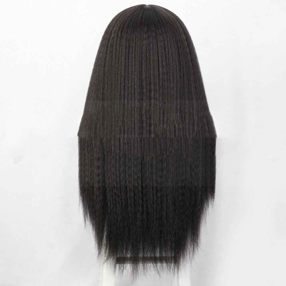 Straight Lace Front Wig