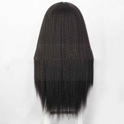 Straight Lace Front Wig