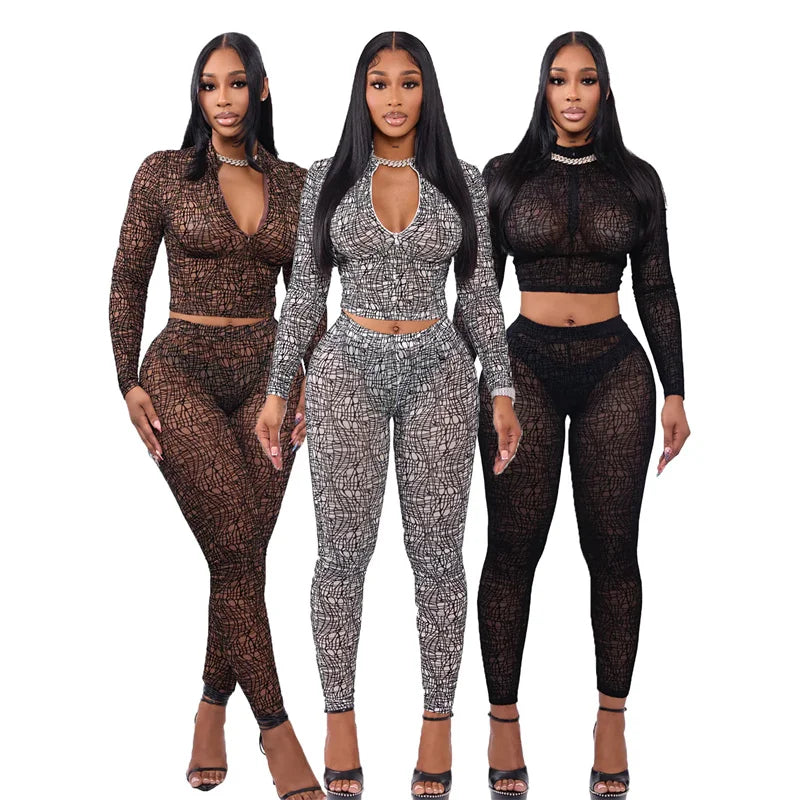 Sheer Mesh Two-Piece Clubwear Crop Set