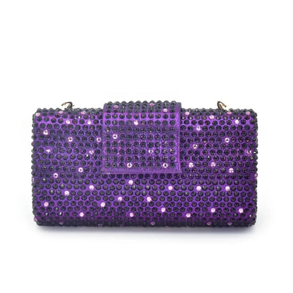 Women's Shoes and Matching Bag Set