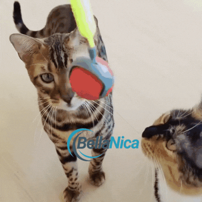Bellanica - Balle jouet intelligente rechargeable par USB pour chat 